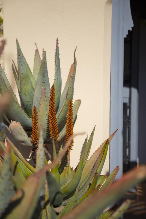 מרקש Riad Les Hirondelles Boutique Hotel מראה חיצוני תמונה